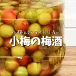 小梅で梅酒漬けに挑戦！